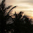 @EchoHaven-l1i