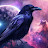 @Corvus-m4c