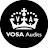 @vosaaudits