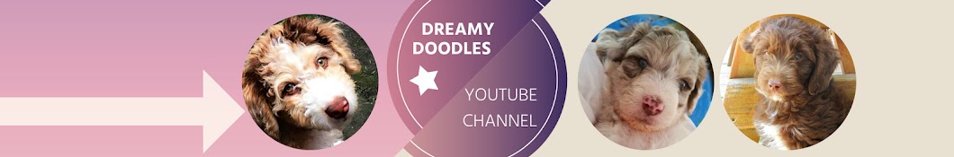 Dreamydoodles Northwest YouTube channel avatar