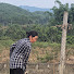 4W8Setk4Huk-channel-avatar-Forest Life Vietnam