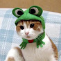 toastedcherries Avatar