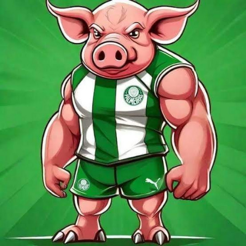 PALMEIRAS NEWS TV 