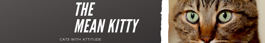 TheMeanKitty YouTube channel avatar