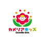 企業主導型保育園カメリアキッズ