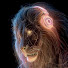 g_Tzi6hgHGA-channel-avatar-LEO ALAMSYAH