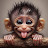@monkey-rc6wz