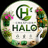 zf3tn6eTZD0-channel-avatar-Creation HALO