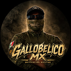 GALLO BELICO MX
