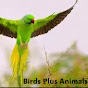 Birds Plus Animals Likers logo