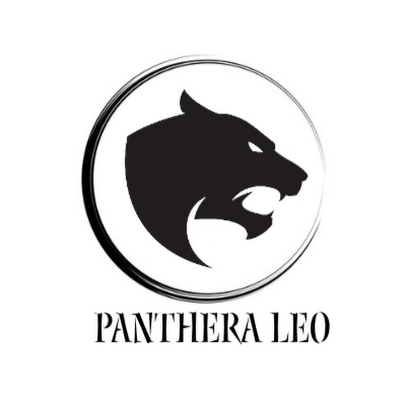 Panther leo