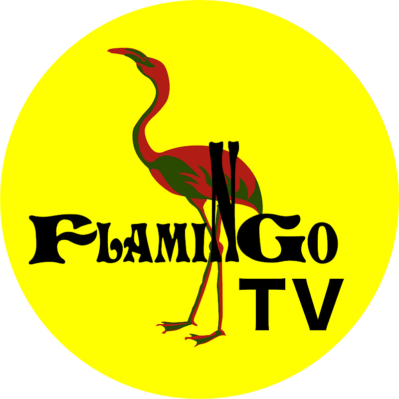 フラミンゴTV YouTubeチャンネル画像