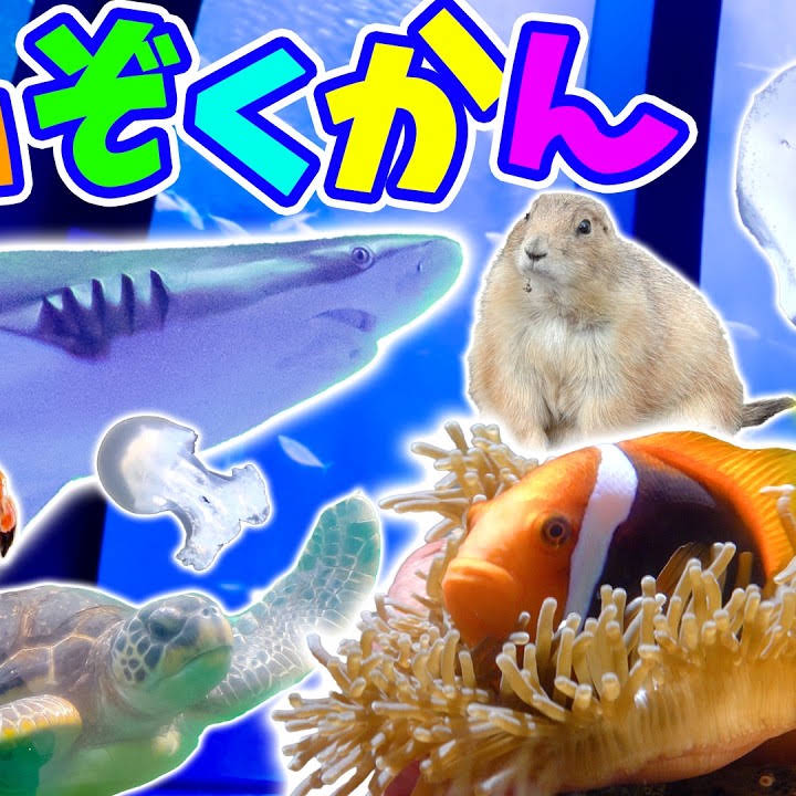 Post from ガチャピンちゃんねる【公式】 - YouTube