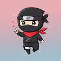 Tokyo Ninja