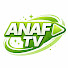 cFEXkEyCIFE-channel-avatar-ANAF TV