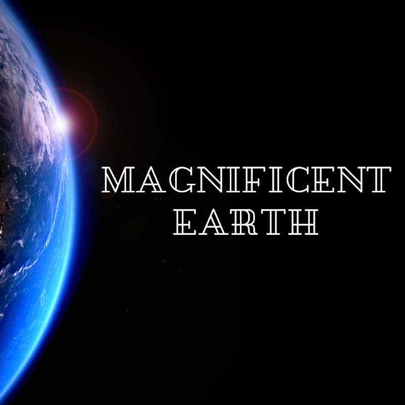 Magnificent Earth 🌎