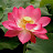 @sandungoonaratne9747's avatar