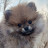 @cutebabybear3077
