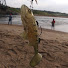 xwPBGcDxFto-channel-avatar-Fish with Me