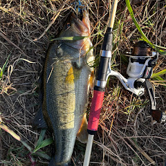 BassForgedfishing