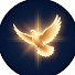 70Df9Nr40YE-channel-avatar-Focul Cel Viu