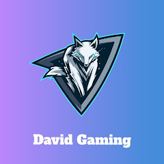 David Gaming Channel