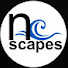 22R9fFPKEZE-channel-avatar-nc scapes