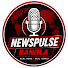 d8ZF0b5BZd4-channel-avatar-নিউজপালস বাংলা