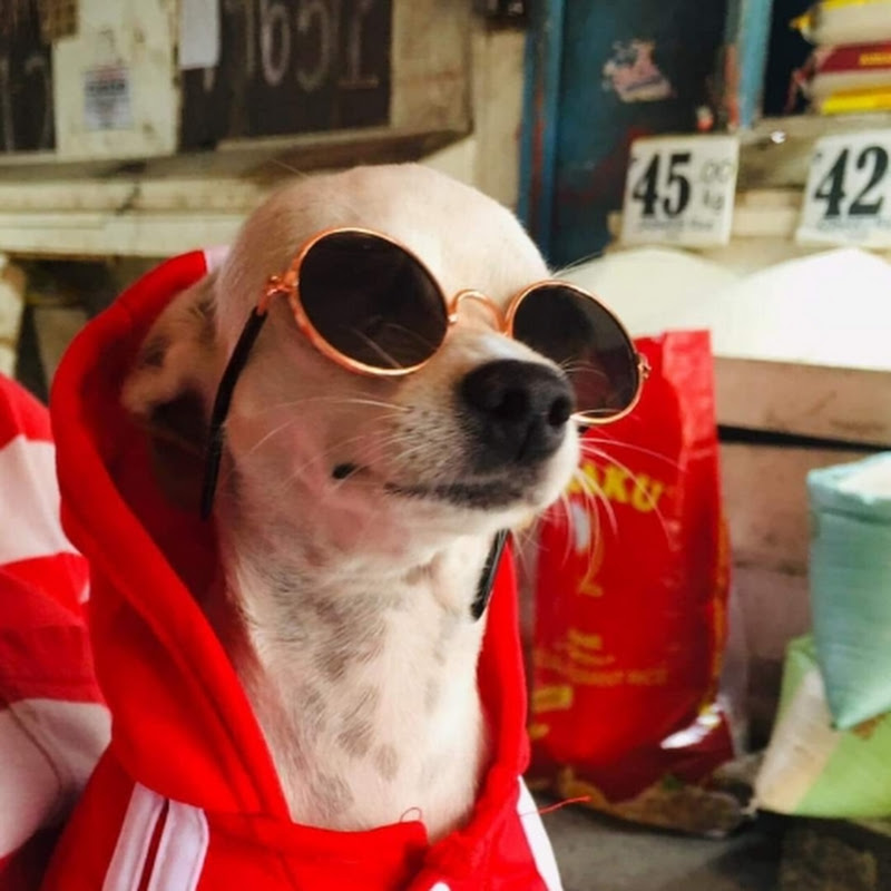 Lang.x Philippines thumbnail