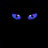 @alinn9172 Avatar