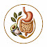 k5Z5v7exgVU-channel-avatar-Biology After Eating