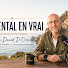 oJoH4hWViE4-channel-avatar-David D'orsi