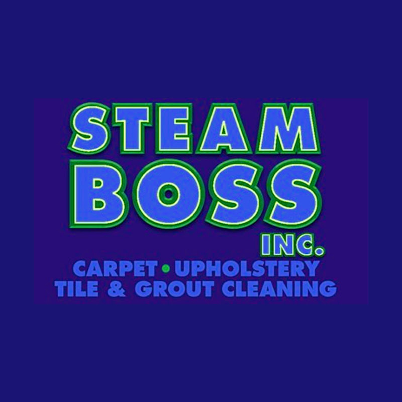 Steam Boss inc Logo