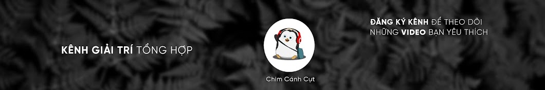 Chim CÃ¡nh Cá»¥t ইউটিউব চ্যানেল অ্যাভাটার