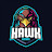 SKY HAWKS GAMING 