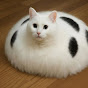 Deep Funny Cats Avatar