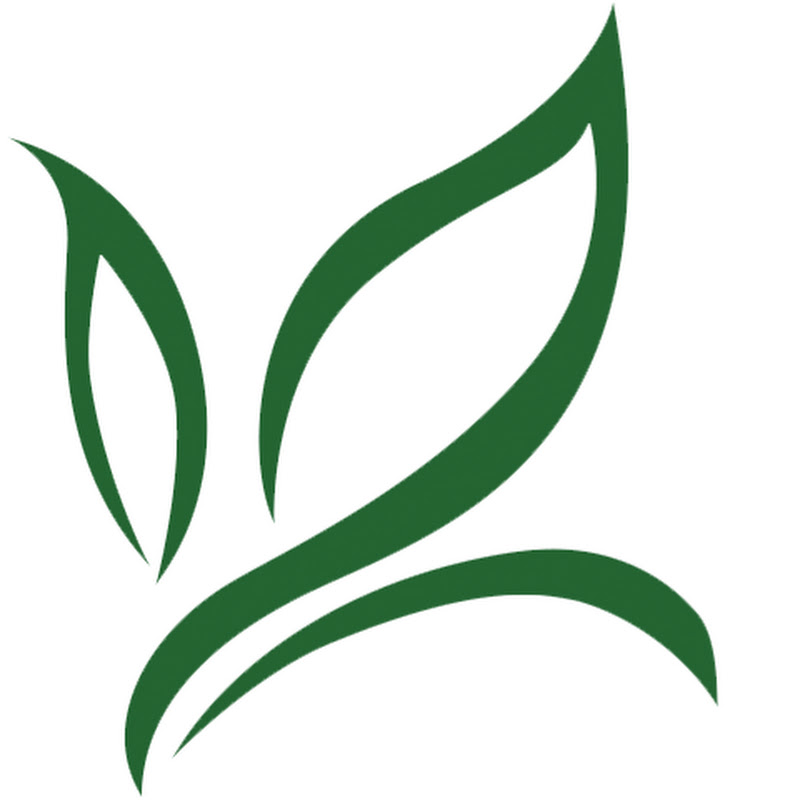 Biggestleaf Travel channel avatar