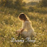 LzqGgFNPEuY-channel-avatar-Dreamy Things