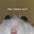 wHM9YxbWjAA-channel-avatar-OkayChat