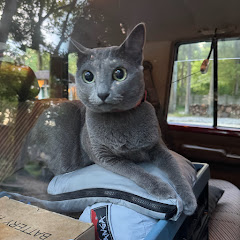 大阪のおばちゃん