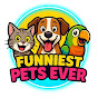 Funniest Pets Ever logo