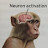 @Neuro_nActivation