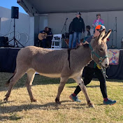Desert Donkey Experiences