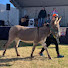 Yu0LE8tFPKE-channel-avatar-Desert Donkey Experiences