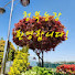 Channel Image