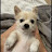 @말수면양