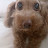 @엄마랑버들이행복해