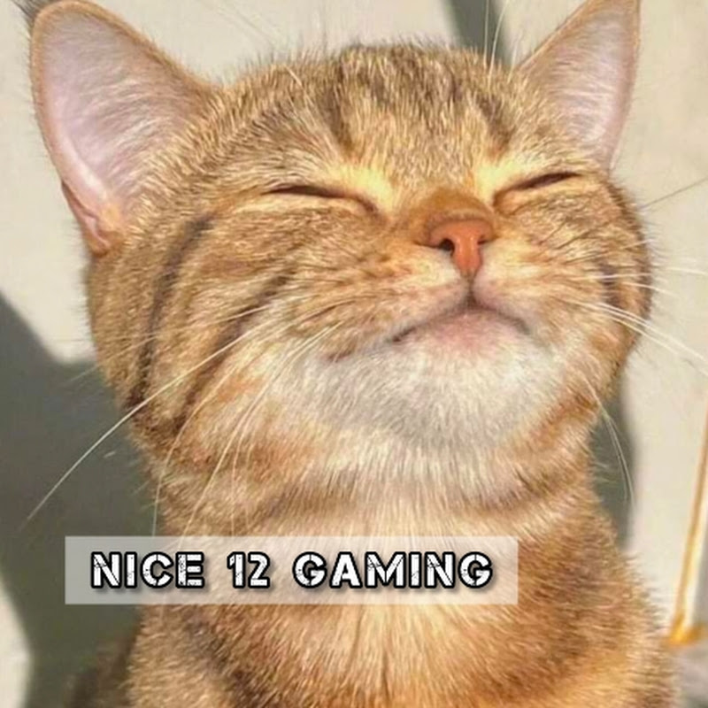 Nice 12 Gaming