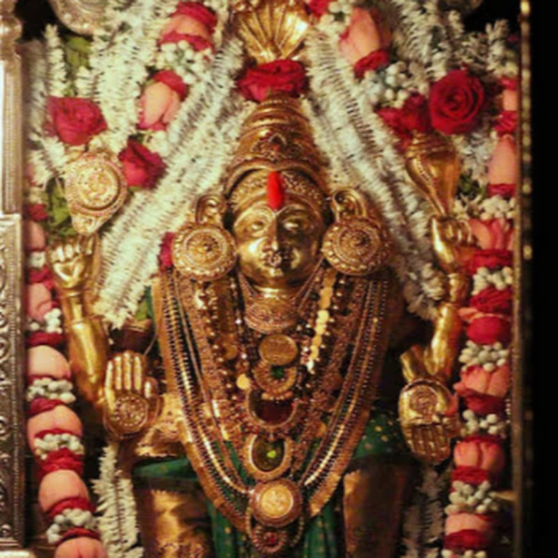 Hire  Kambala_video — Outdoor Adventures (Hiking, Camping, Backpacking) YouTube creator for sponsorships