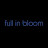 full in bloom Plus